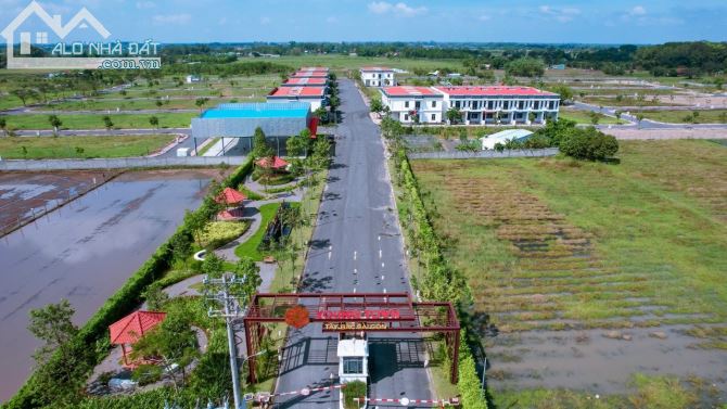 4225922 ảnh đại diện 2