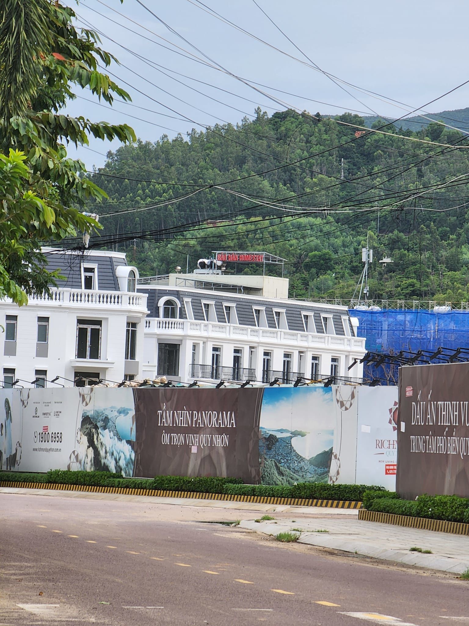 4226381 ảnh đại diện 1