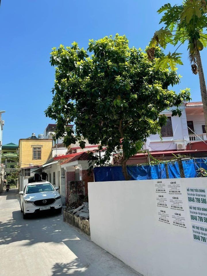 4224892 ảnh đại diện 1