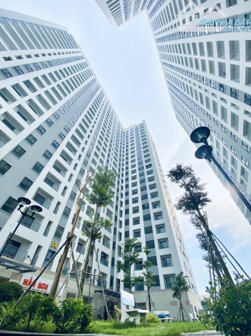 4226450 ảnh đại diện 1