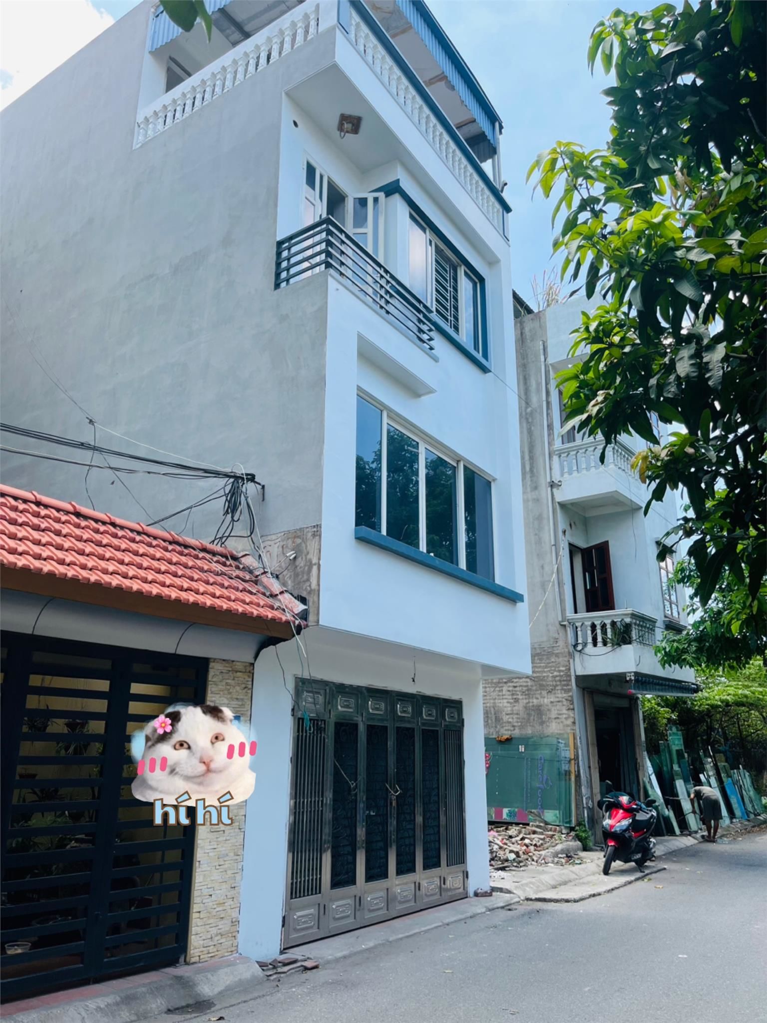 4226205 ảnh đại diện 1