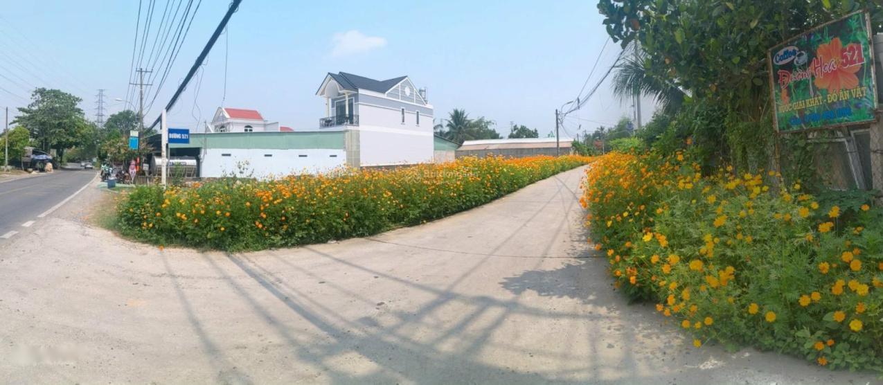 4224511 ảnh đại diện 1