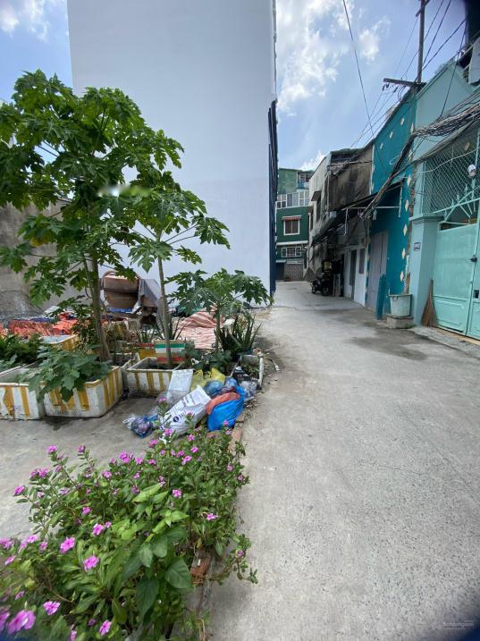 4224836 ảnh đại diện 1