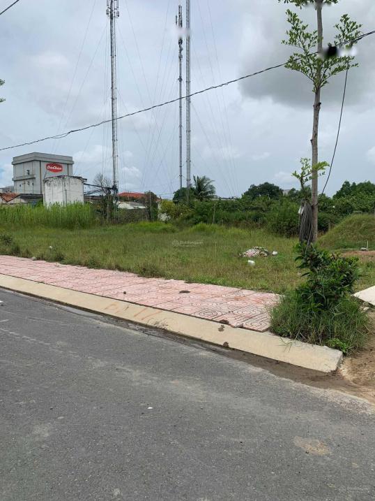 4224972 ảnh đại diện 1