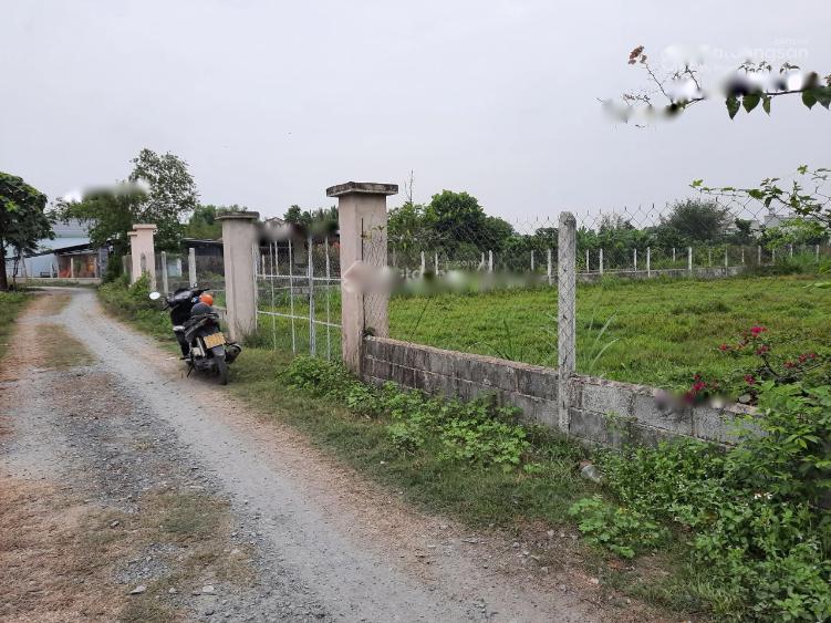 4224527 ảnh đại diện 1