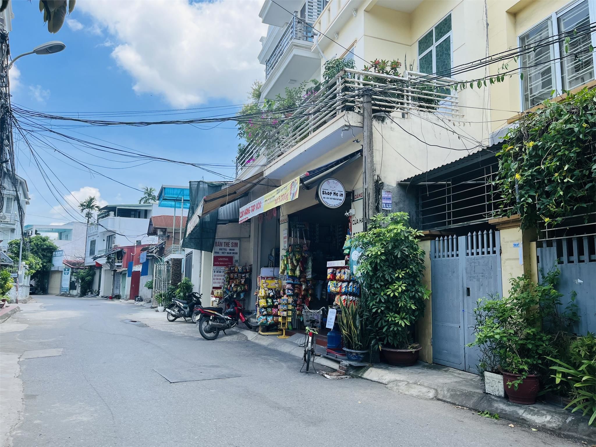 4226205 ảnh đại diện 2