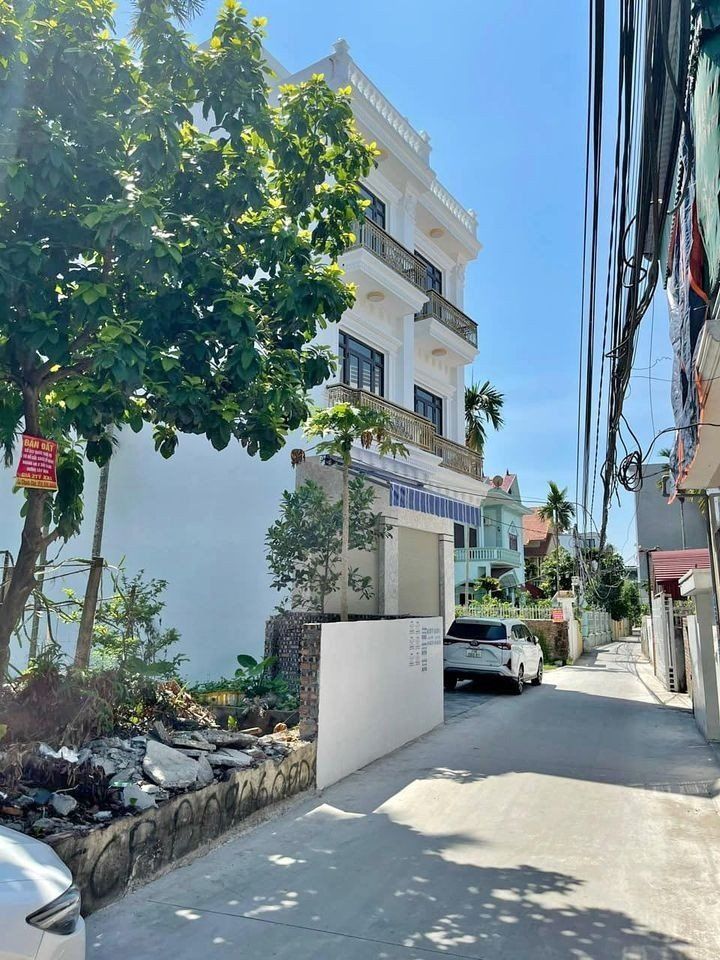 4224892 ảnh đại diện 2