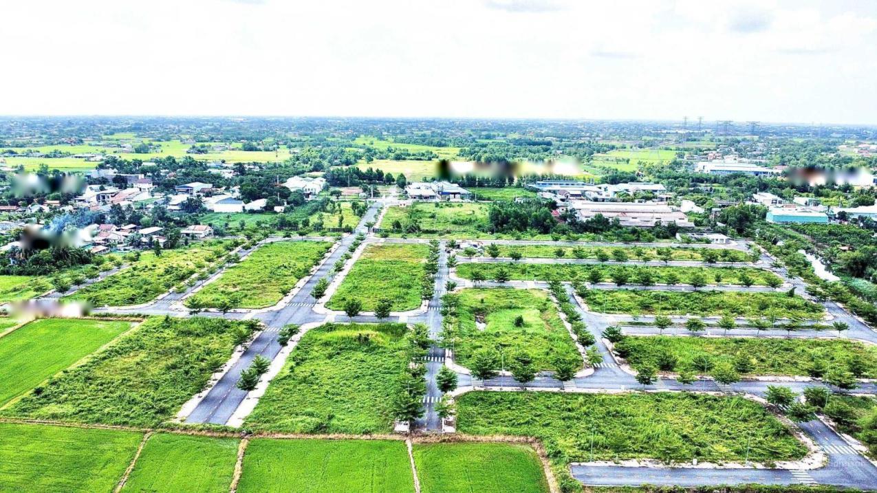 4224959 ảnh đại diện 1