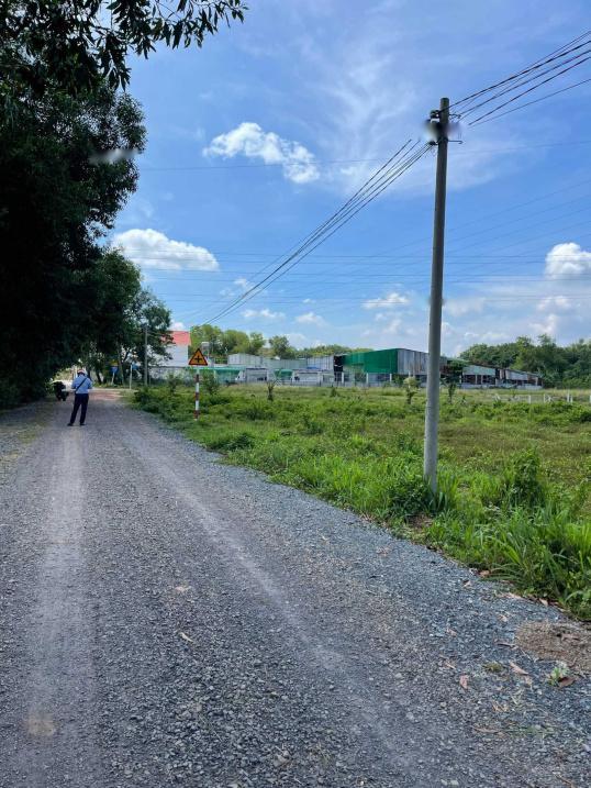 4224516 ảnh đại diện 1