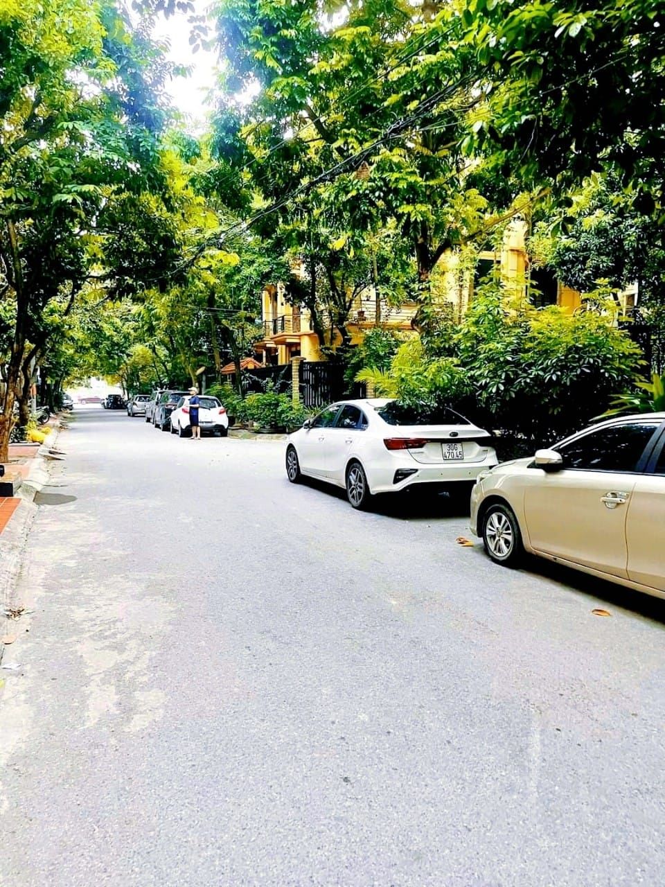 4227540 ảnh đại diện 1