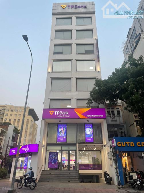 4228584 ảnh đại diện 1