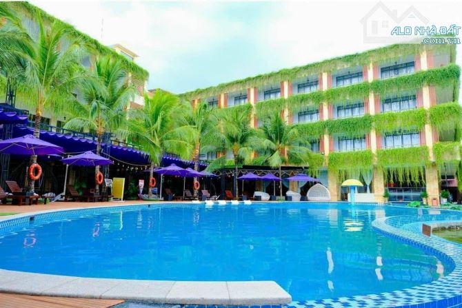 4228189 ảnh đại diện 1
