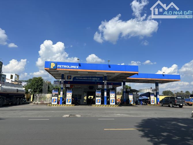 4229277 ảnh đại diện 2