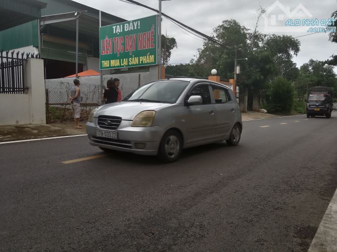 4229236 ảnh đại diện 1