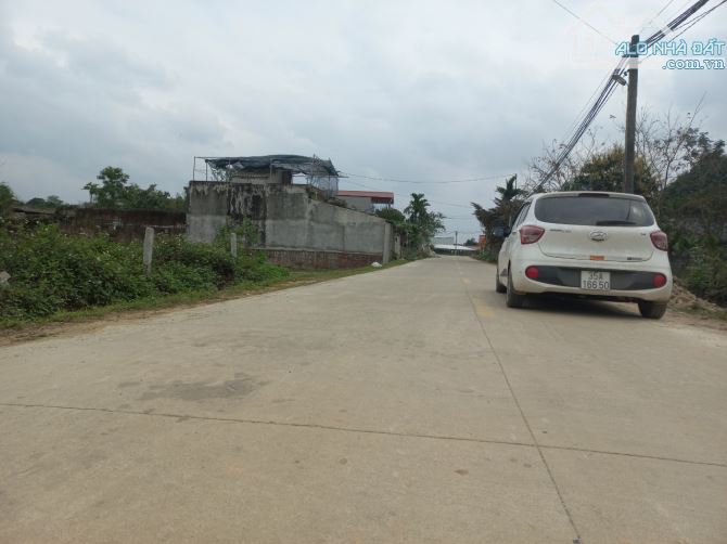 4229235 ảnh đại diện 1