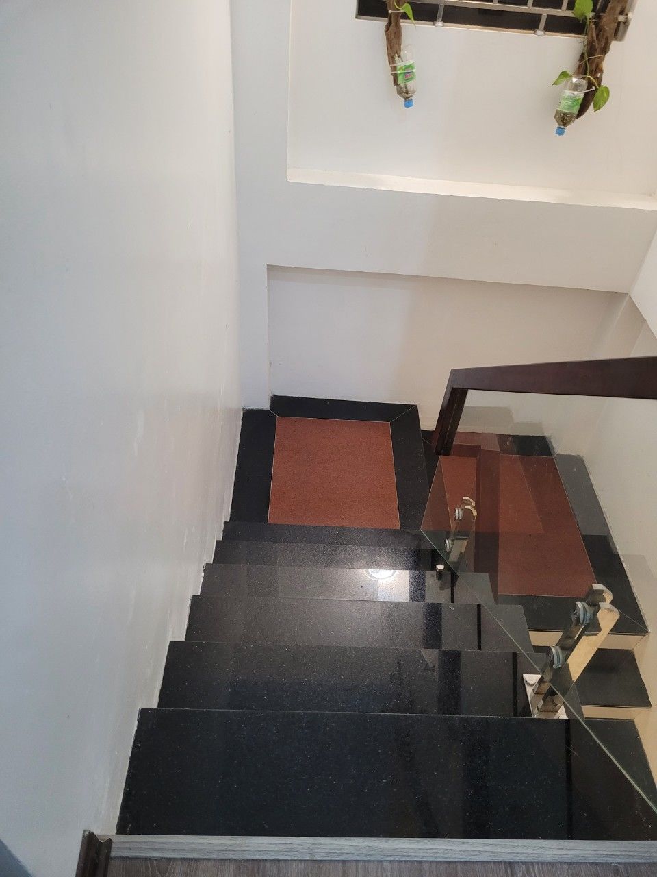 4227453 ảnh đại diện 1