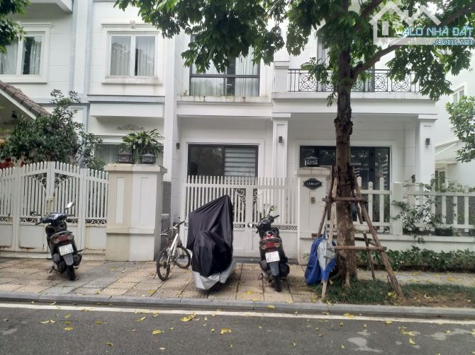 4228868 ảnh đại diện 1