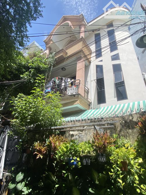 4228688 ảnh đại diện 1