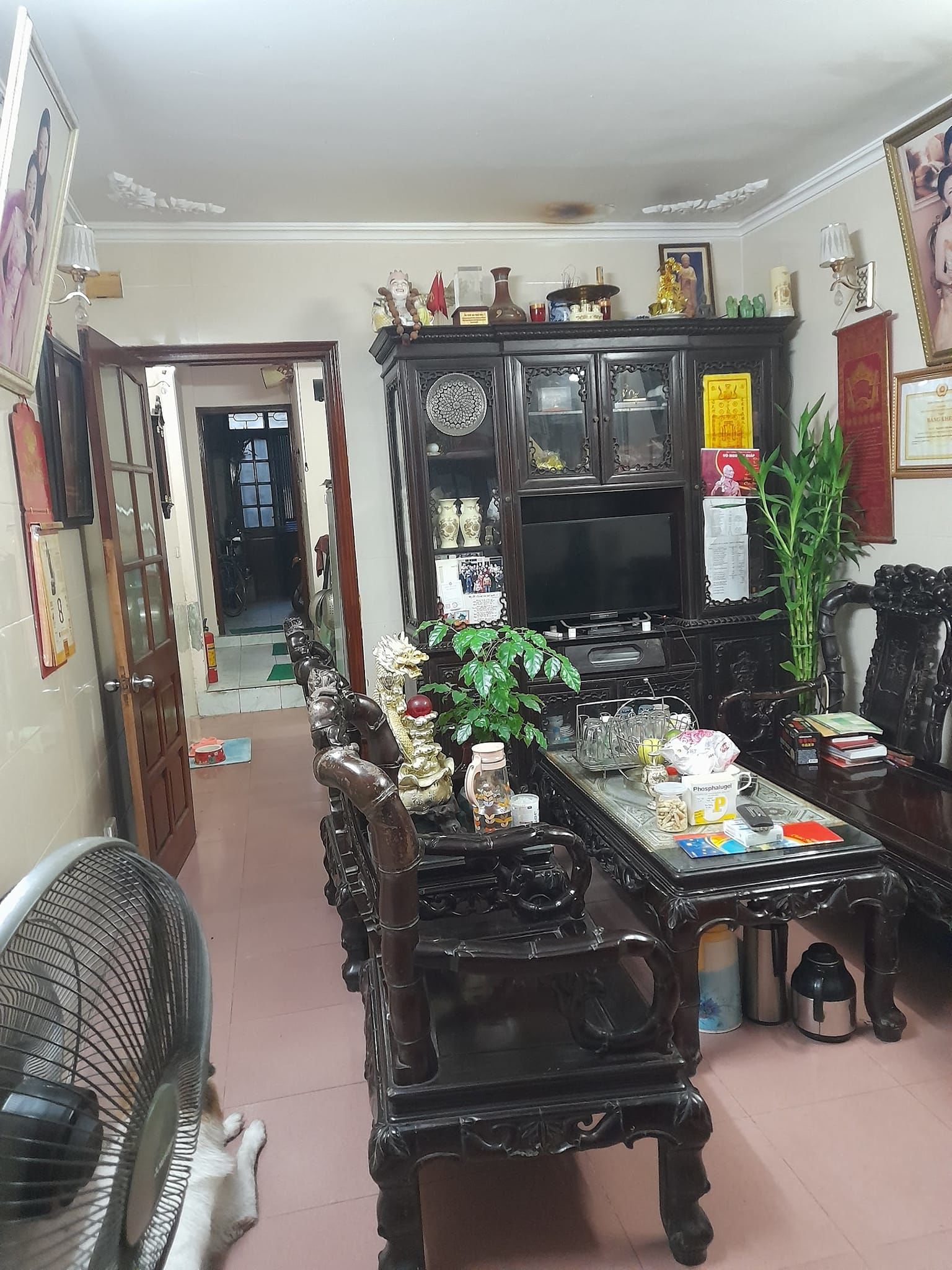 4227621 ảnh đại diện 1
