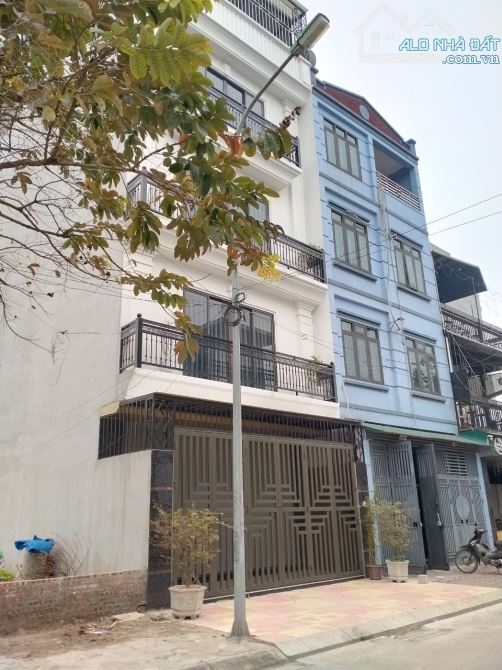 4228864 ảnh đại diện 1
