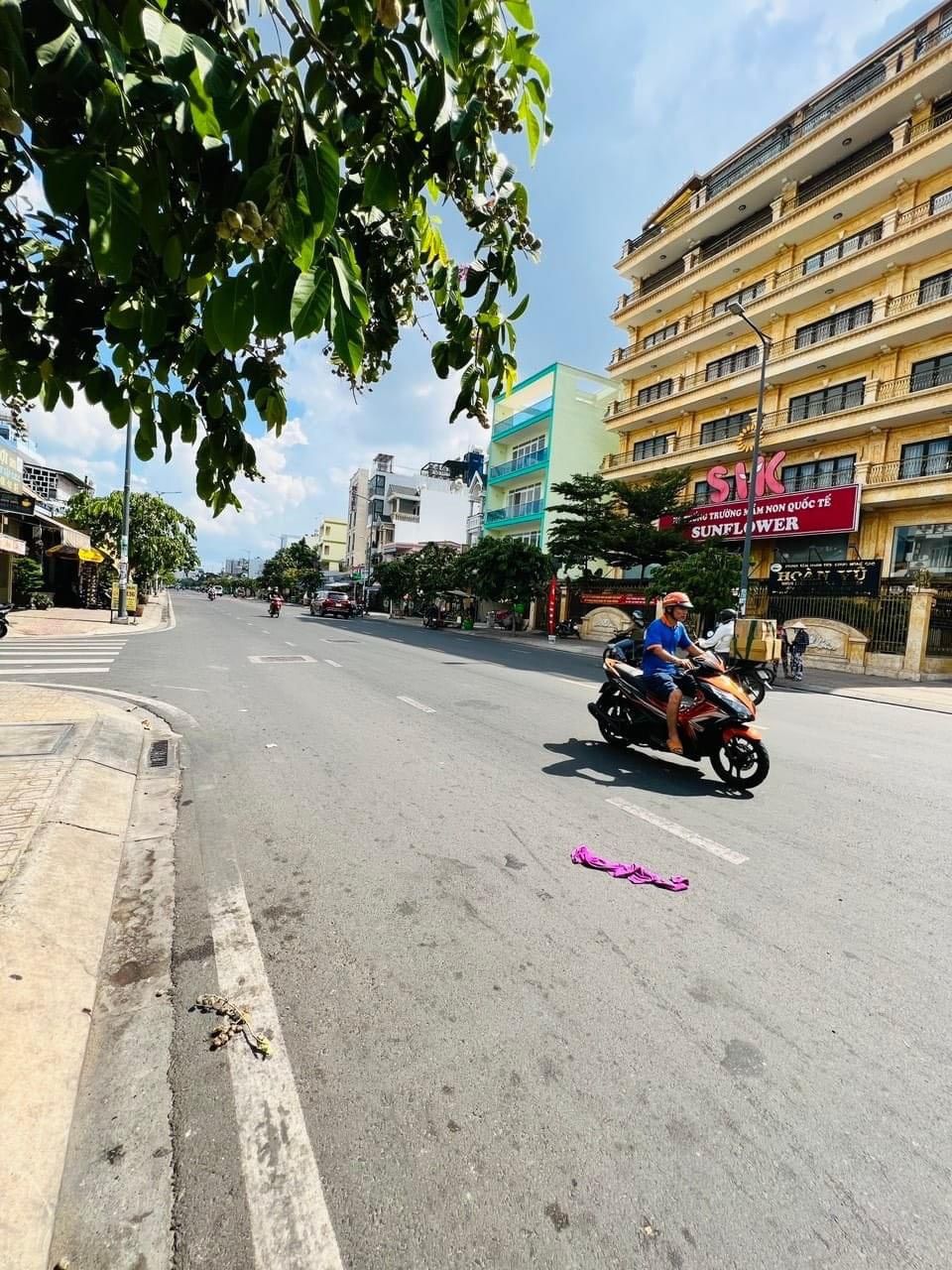 4228535 ảnh đại diện 1