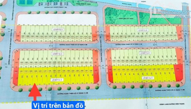 4228711 ảnh đại diện 1