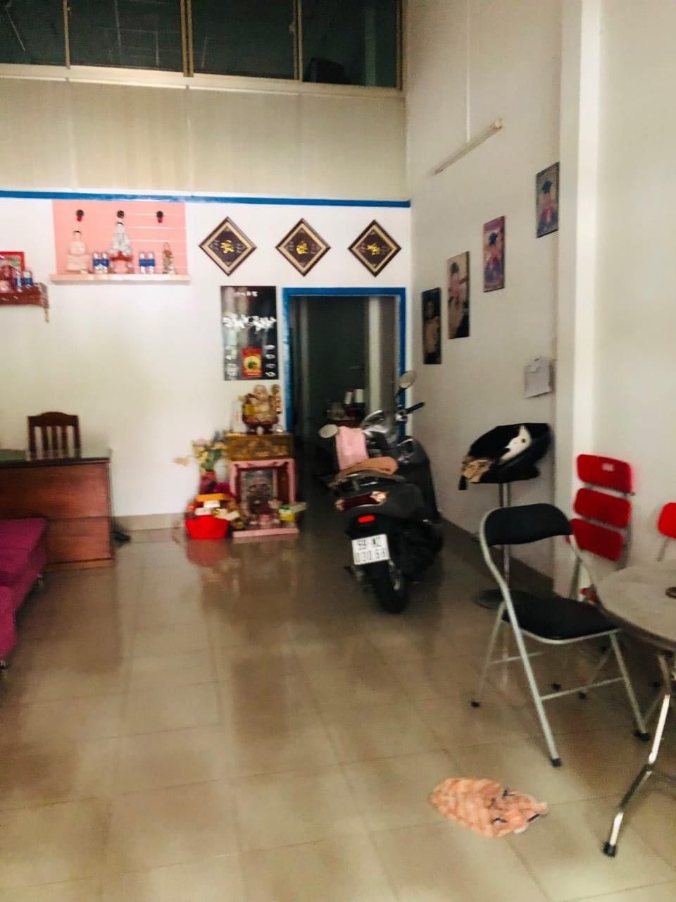 4228535 ảnh đại diện 1