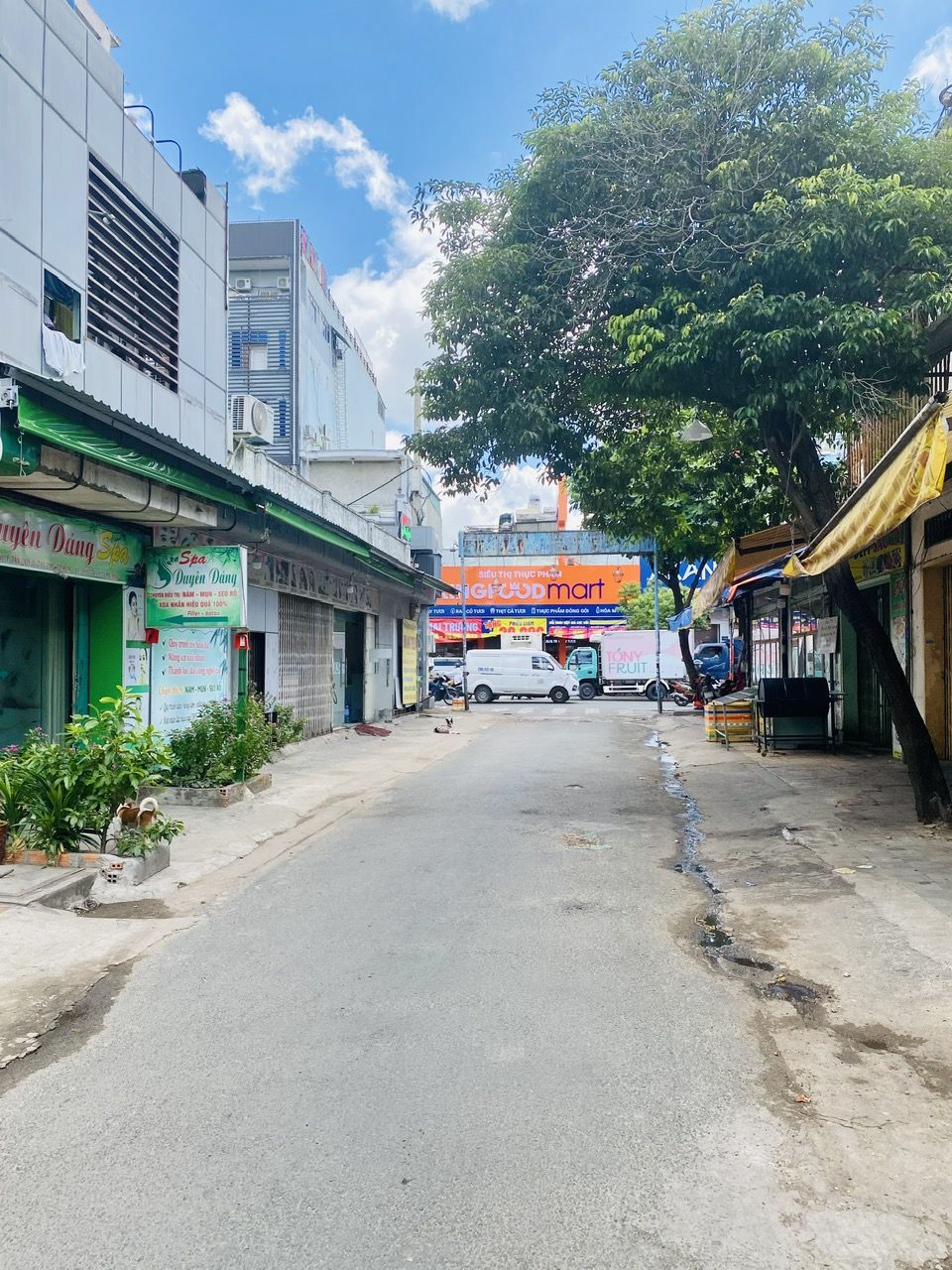 4228499 ảnh đại diện 1