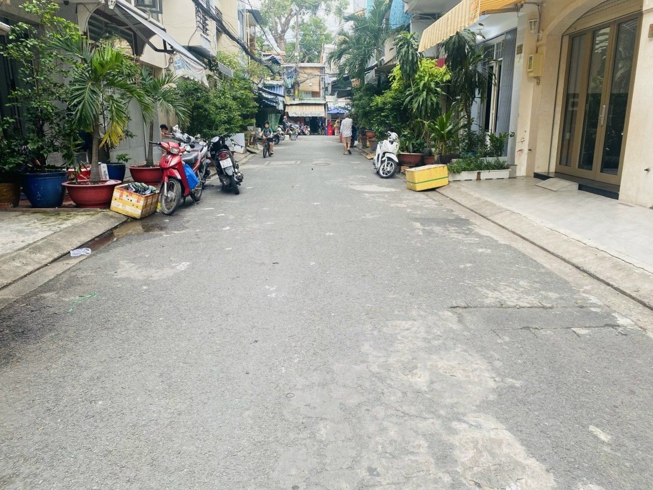 4228528 ảnh đại diện 1