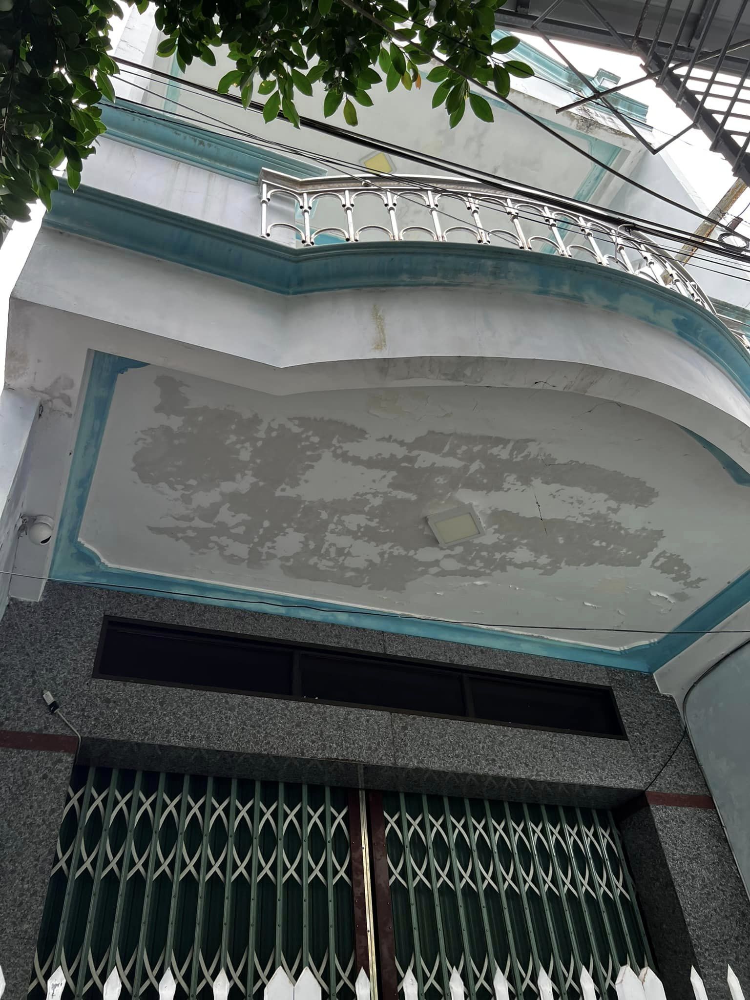 4228134 ảnh đại diện 1