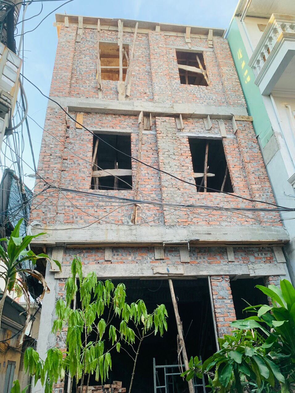 4229305 ảnh đại diện 2