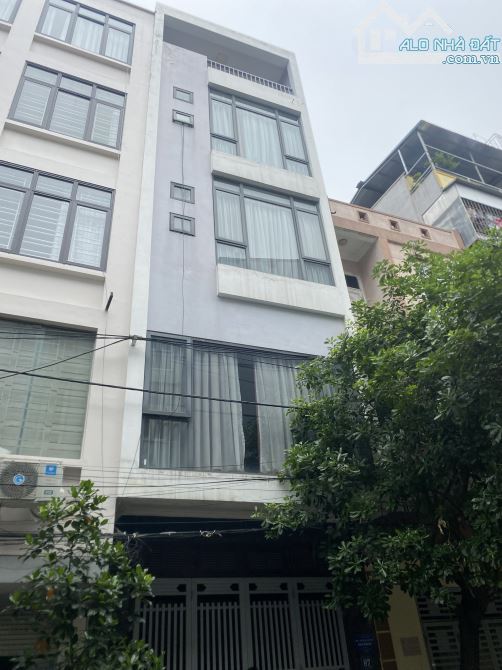 4227495 ảnh đại diện 1