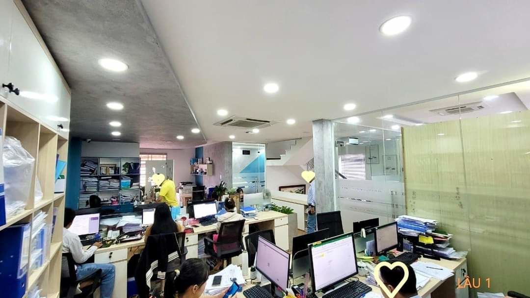 4228549 ảnh đại diện 1
