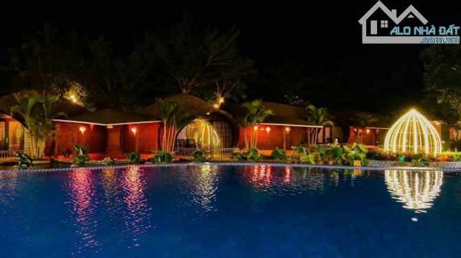 4228189 ảnh đại diện 1