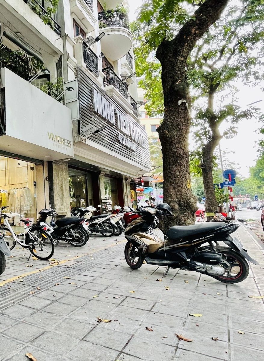 4229817 ảnh đại diện 2