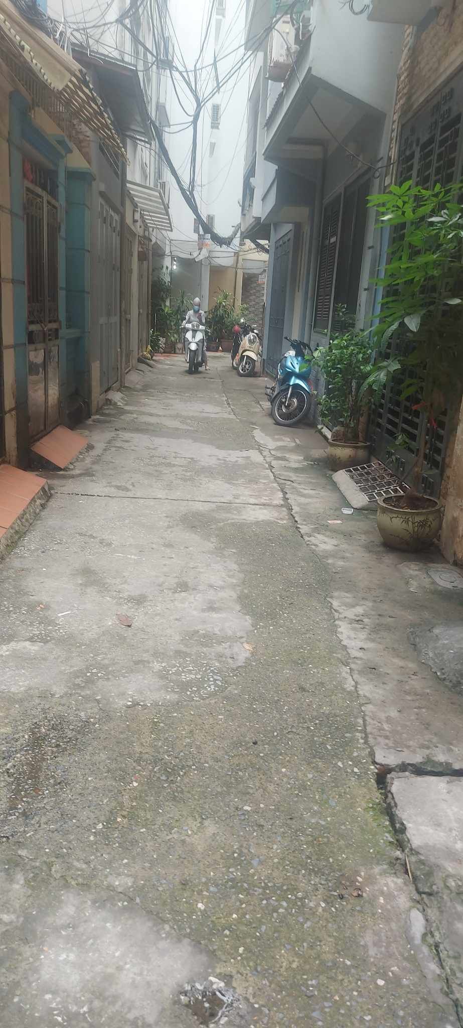 4229857 ảnh đại diện 2