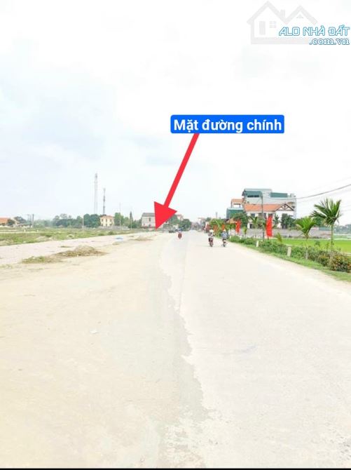 4228711 ảnh đại diện 2