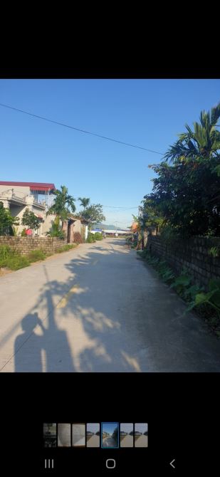 4229235 ảnh đại diện 1