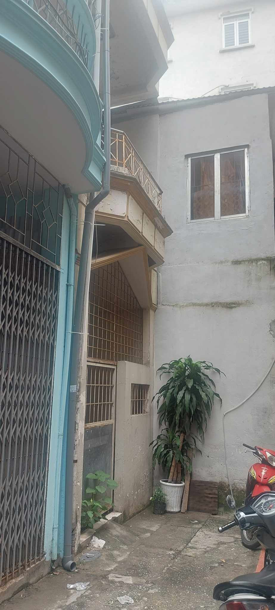 4229857 ảnh đại diện 1
