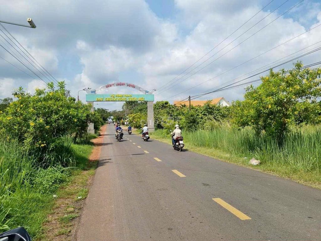 4228579 ảnh đại diện 1