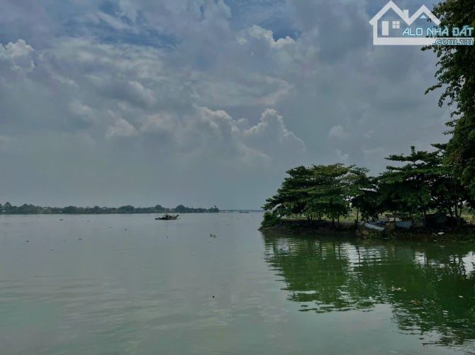 4229273 ảnh đại diện 1