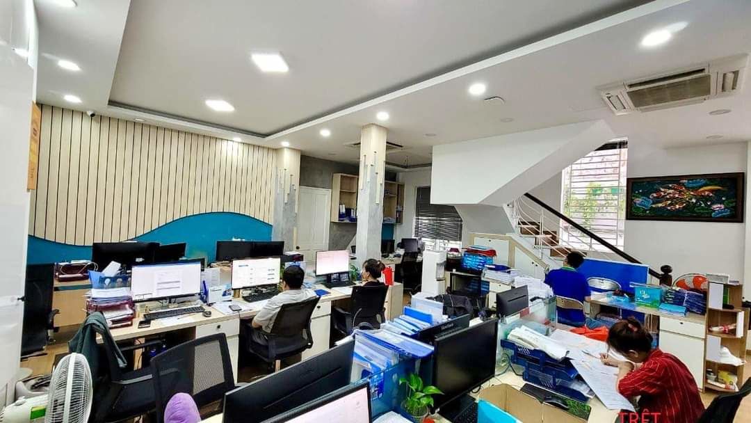 4228549 ảnh đại diện 2