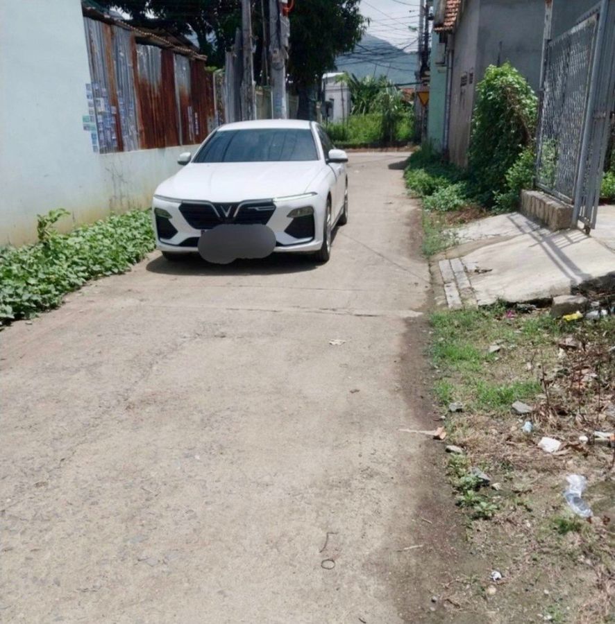 4231129 ảnh đại diện 2