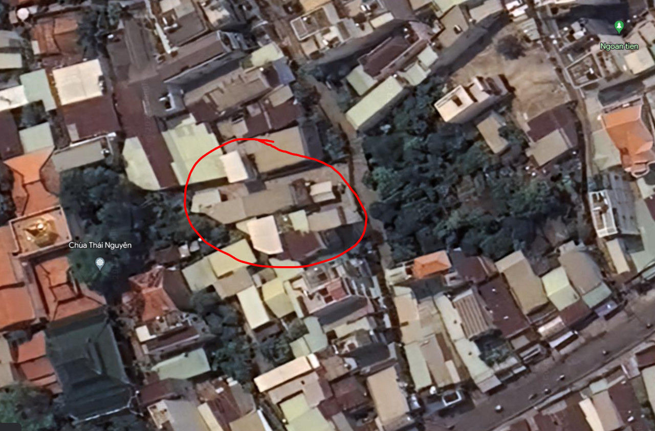4230295 ảnh đại diện 1