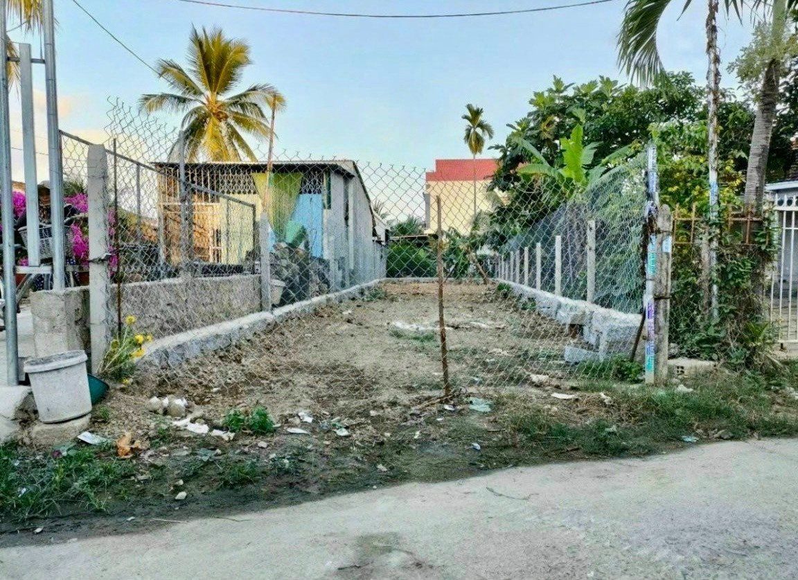 4231129 ảnh đại diện 1
