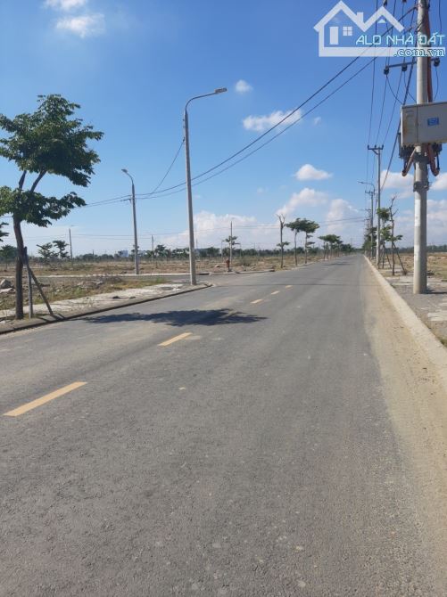 4231428 ảnh đại diện 2