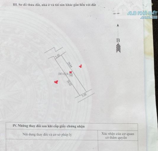 4231493 ảnh đại diện 1