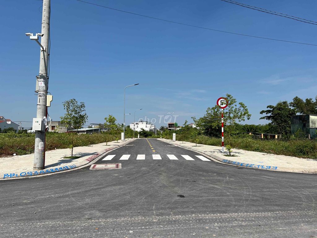 4231449 ảnh đại diện 1