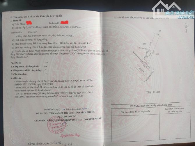 4231452 ảnh đại diện 1