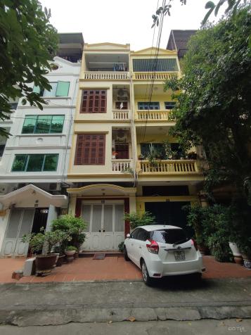 4232448 ảnh đại diện 1